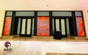 Door & Window Graphics