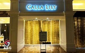 Front Lit Channel Letters