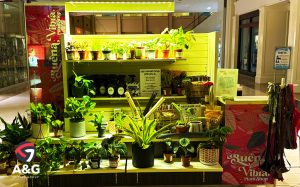 Buena Vibra Plant Shop