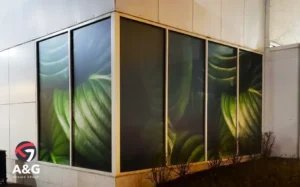 Window Graphics